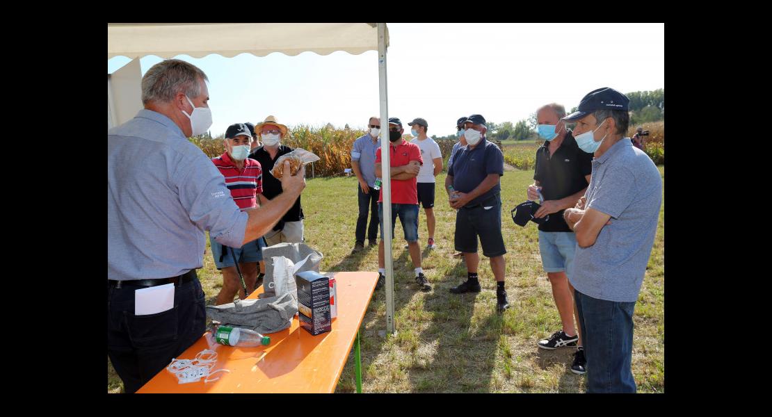 Comptoir Agrosphère - 26 - Filières céréales.jpg