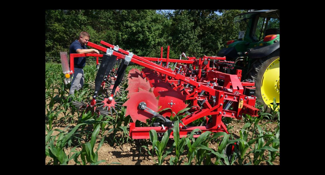 Binage parcelle essi 0 phyto Roggenhouse-4.JPG