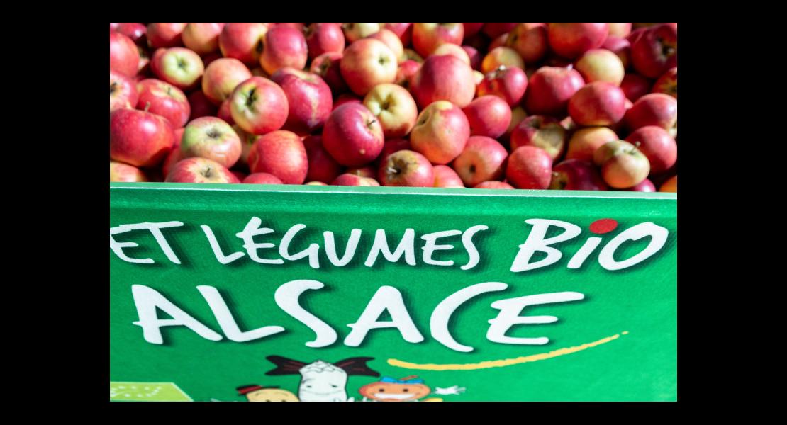 journee-bio-alsace-2020_.jpg