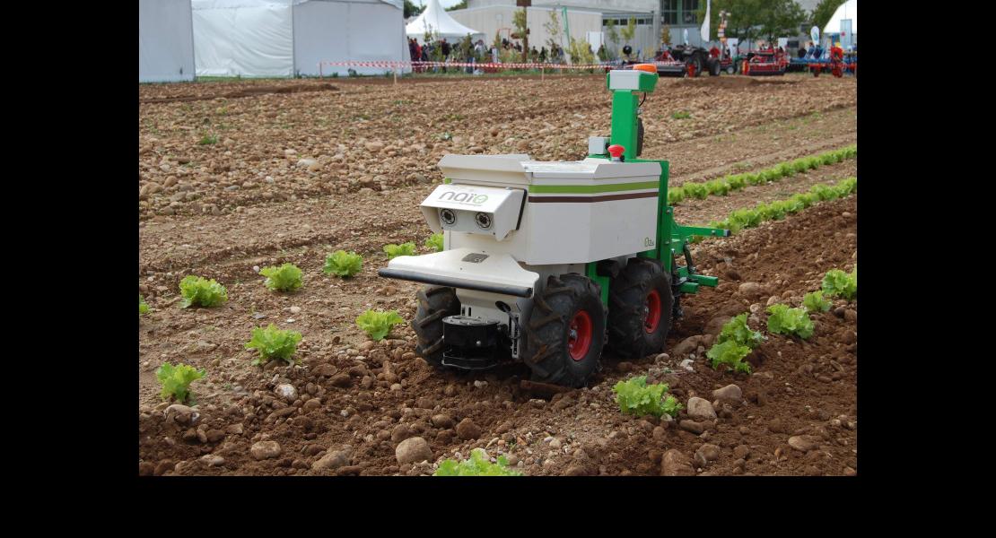 Naïo Technologies OZ