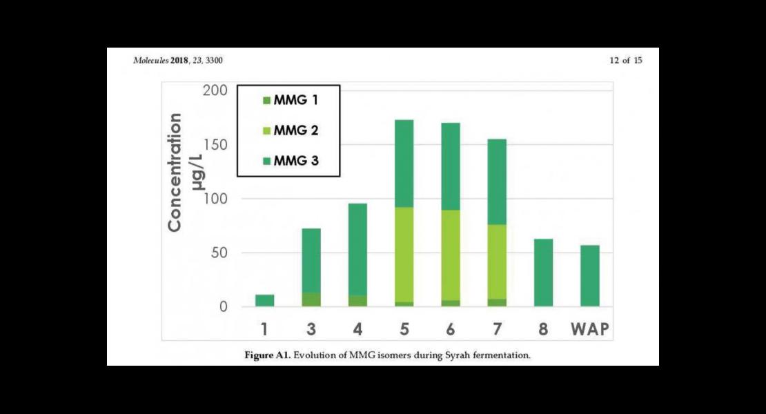 Flavonoïdes fermentation