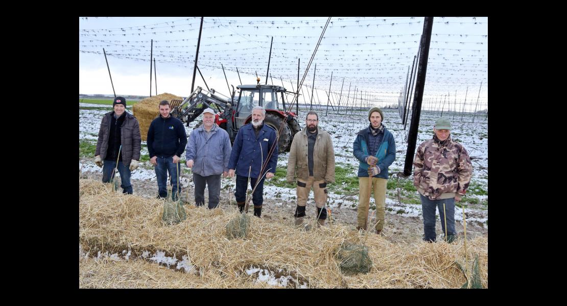 Haies - Houblonnière - 05.jpg