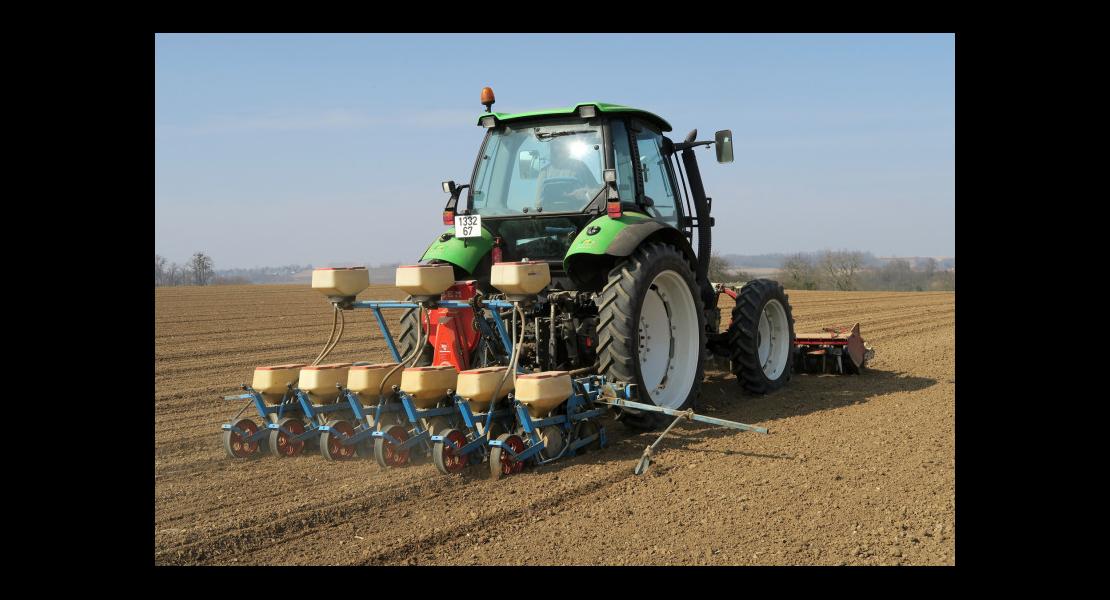 Semis betteraves - 02.jpg