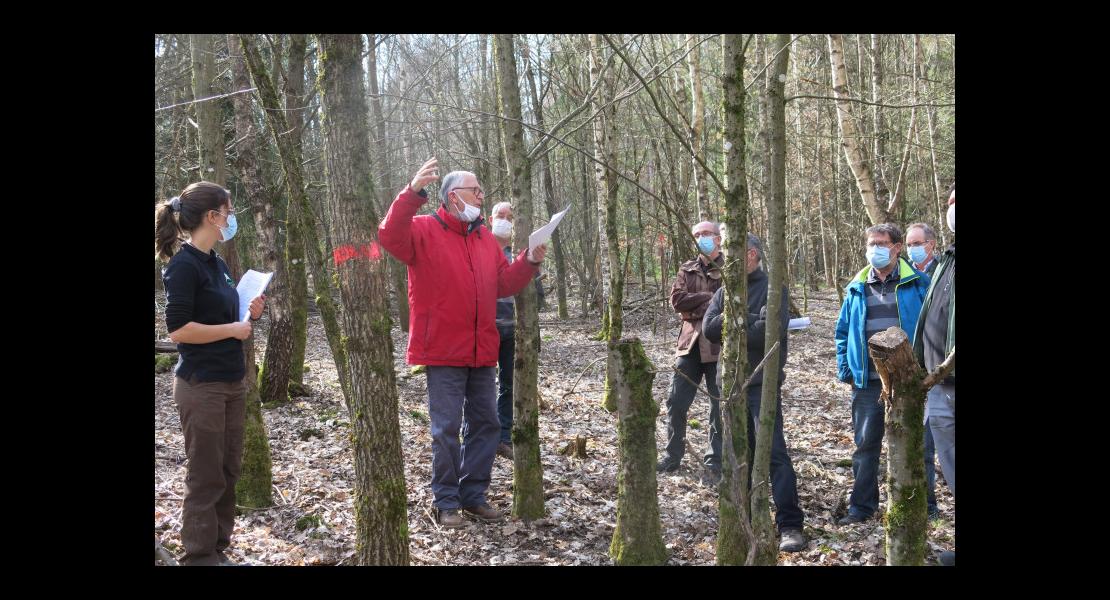 Plantation-placeaux- (2).JPG