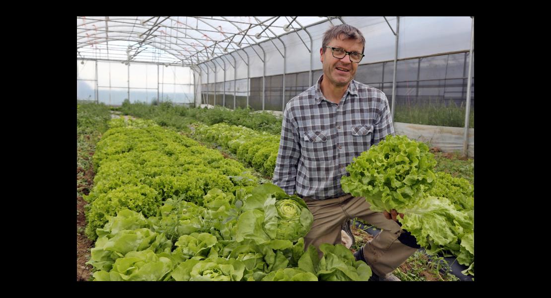 Maraîchage Kern Pascal - 01.jpg