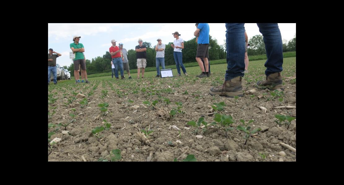 Réunion-soja- (6).JPG