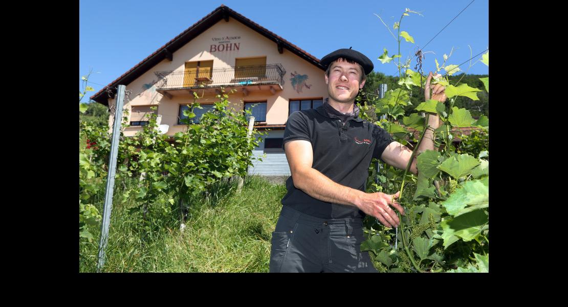 CV - Bohn Arthur - 01.jpg