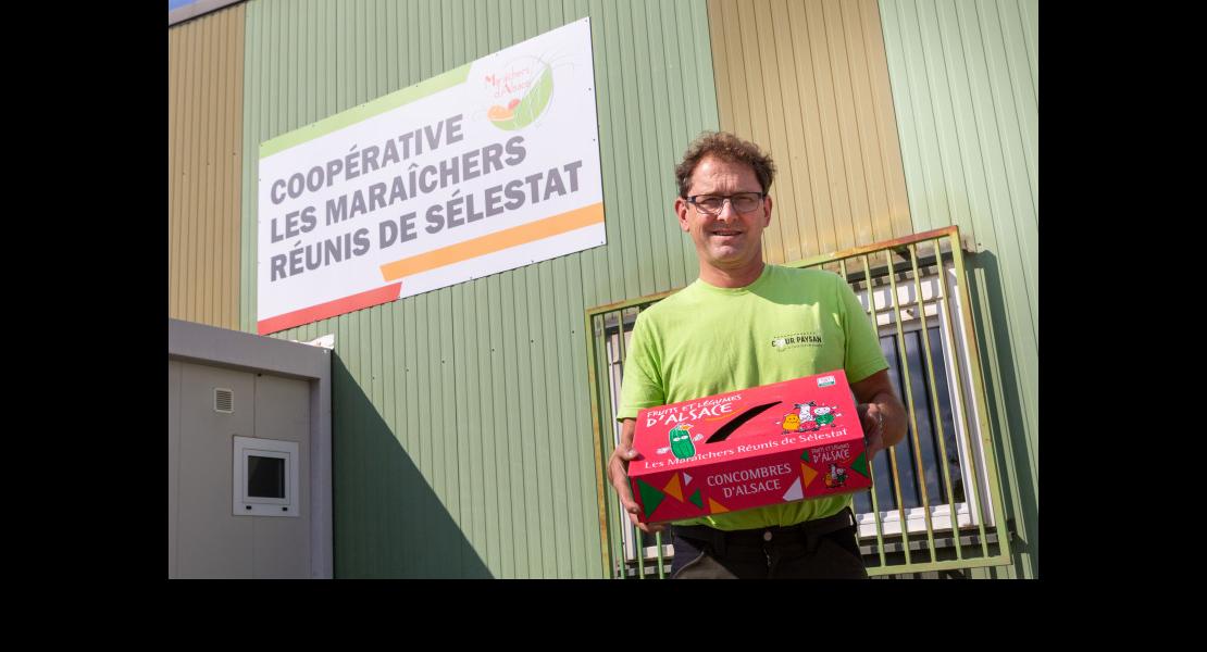 cooperative-maraichers-selestat_denis-digel_01.jpg