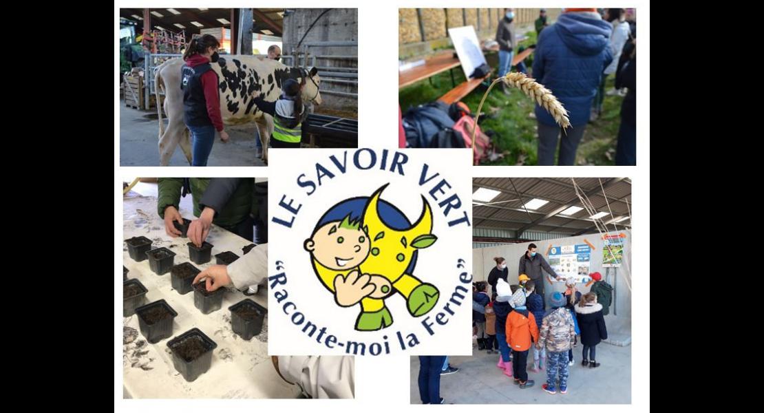 savoir%20vert.JPG