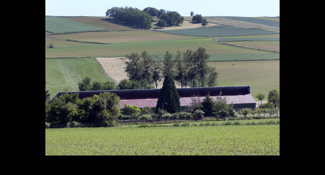 Paysages - Cultures - 04.jpg