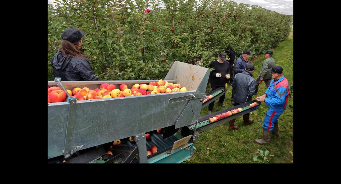 Lancement Natti - 04.jpg