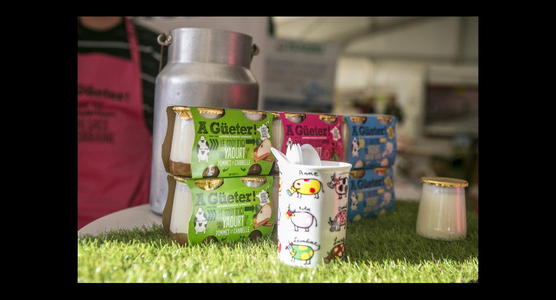 yaourts_a-gueter02.jpg