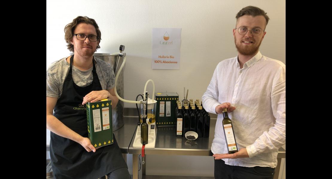 Chanvr_eel_Carat_eel_huile_tournesol_colza_cameline_chanvre_Kalms_David_Guillaume_Benfled_juin_2022.