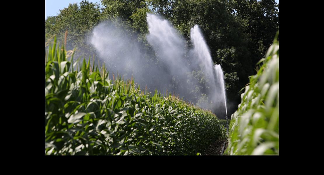 CP Irrigation - 09.jpg