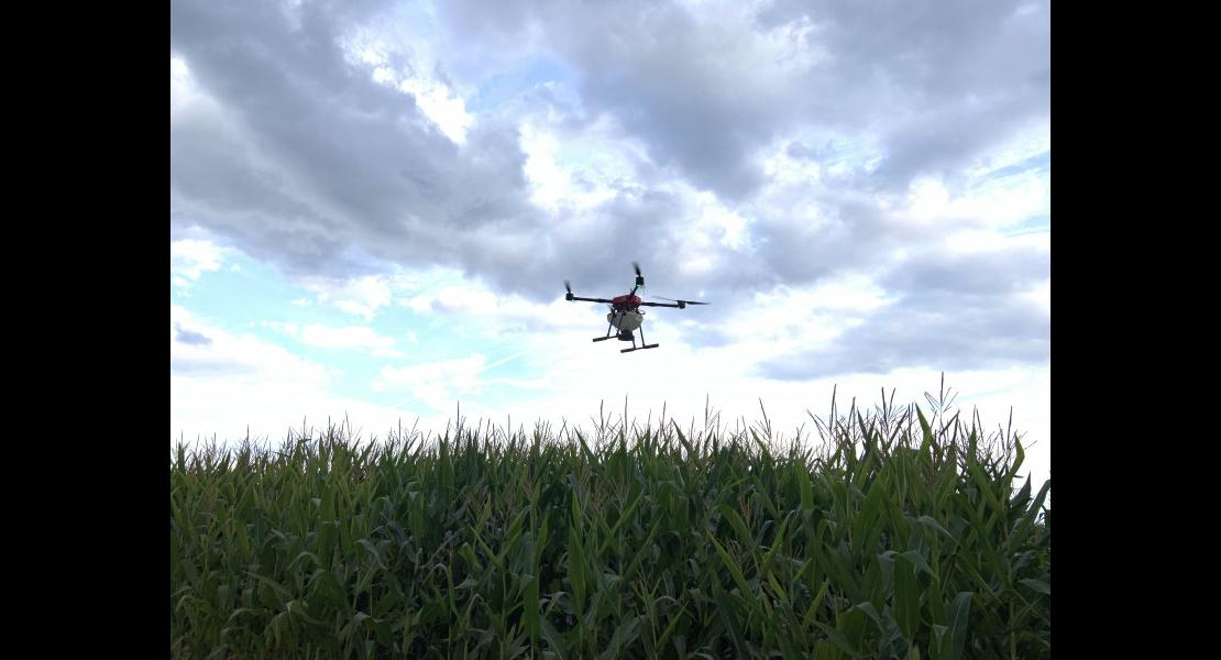 Drone_mai%CC%88s_AB2F%20Conseil_cartographie_parcelle_de%CC%81sherbage_pre%CC%81cision_agronomie_202