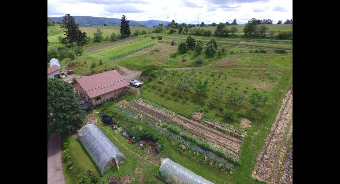 Drone Jardins de Bernadette 190620-1.JPG