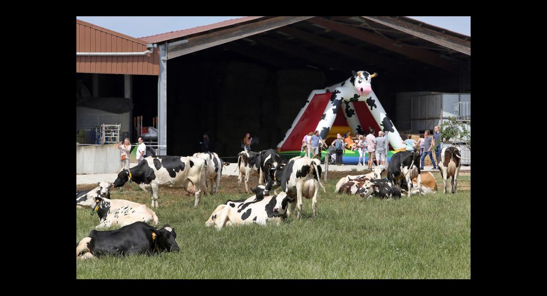 Alsace-lait - Fête d'été - 01.jpg