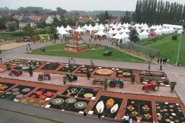 Ifla, saveurs et soleil d'automne