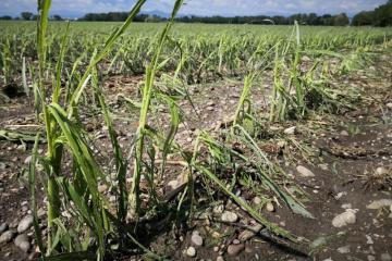 Orage grêle Muntzenheim Wickerschwihr 010618IMG_2