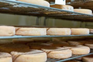 crise-covid-fromages-fermiers_02.jpg