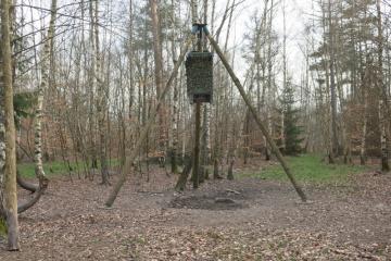 Plantation-placeaux- (6).JPG