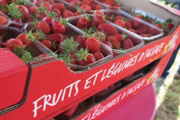 Lancement-fraise-2022- (3).JPG