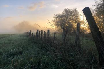 paysage-élevage- (1).jpg