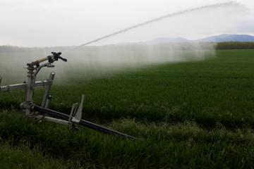 Irrigation_eau_ble_vert_enrouleur_Alsace_plaine_CAA_2023.jpg
